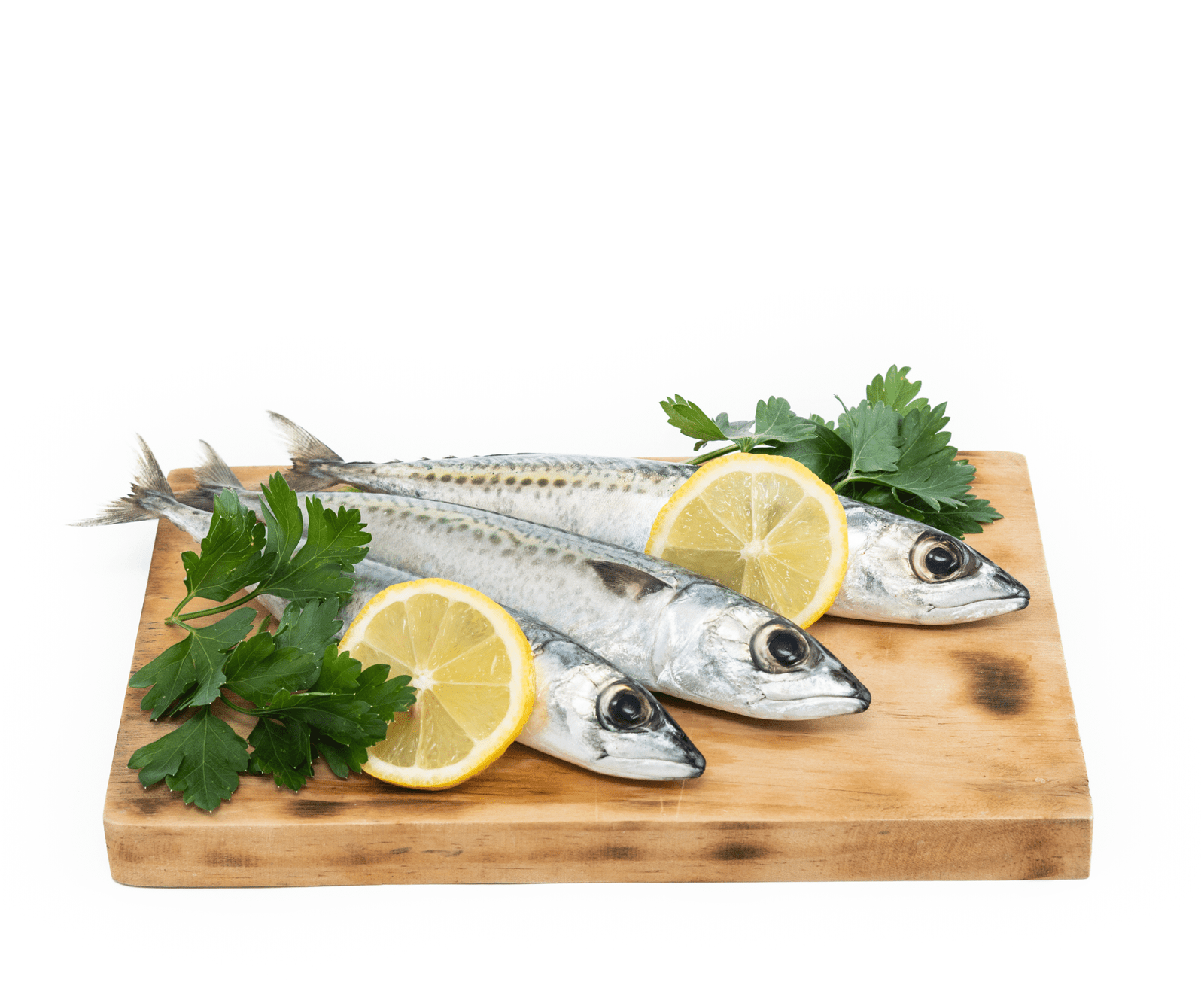 raw-mackerel-fish-isolated-white-backgroundxa