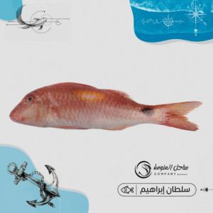 سلطان ابراهيم